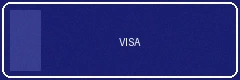 VISA支付